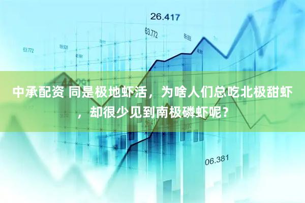 中承配资 同是极地虾活，为啥人们总吃北极甜虾，却很少见到南极磷虾呢？