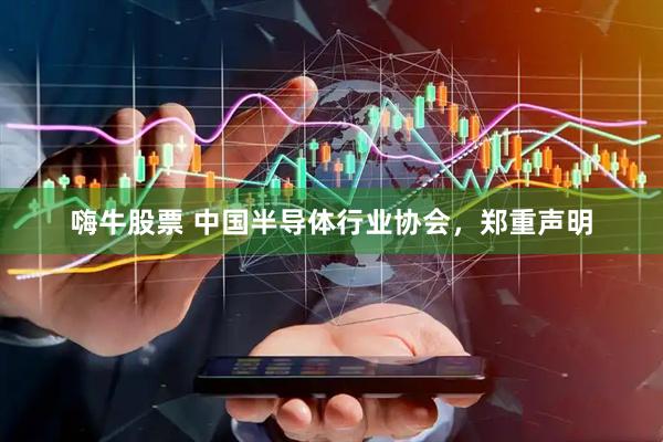 嗨牛股票 中国半导体行业协会，郑重声明