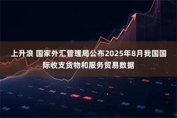 上升浪 国家外汇管理局公布2025年8月我国国际收支货物和服务贸易数据